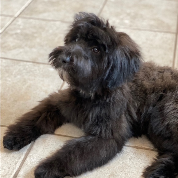 Meet your Posher, Margo - Picture 1 of 1